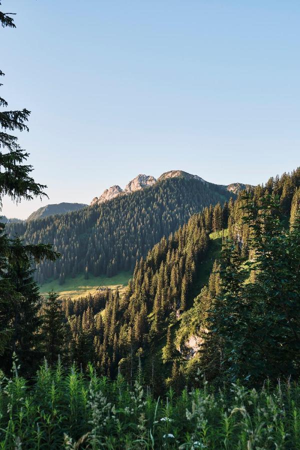 Bachmair Weissach See-Apartments Rottach-Egern Zewnętrze zdjęcie